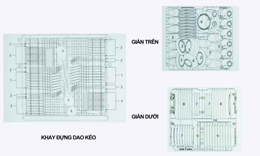 Phân loại và sắp xếp chén đĩa đúng vị trí